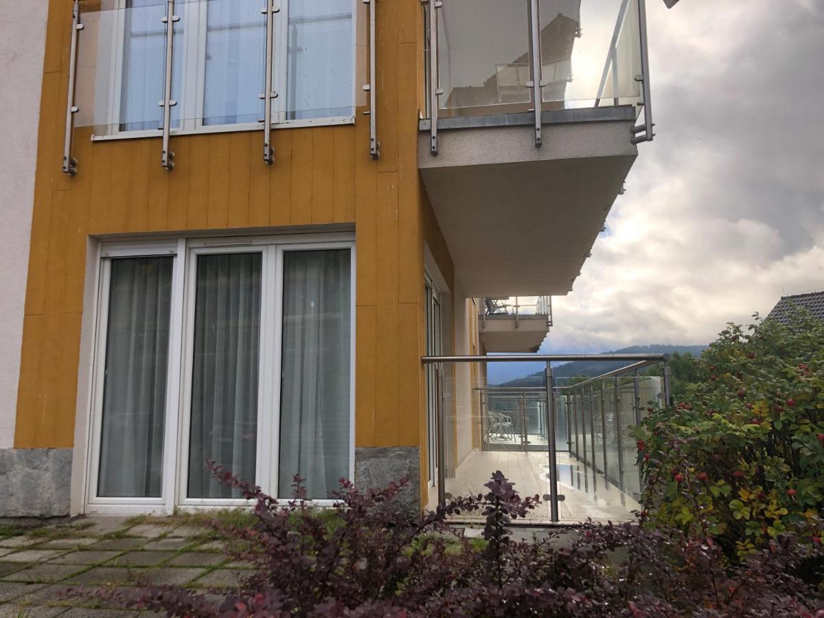 שייננה Apartament Studio Czarna Gora II מראה חיצוני תמונה